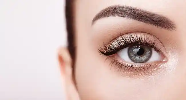 What Is Cornea in Eye Functions Layers and Common Conditions