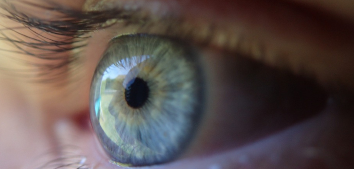 Myopia, The Silent Crisis In Children’s Vision