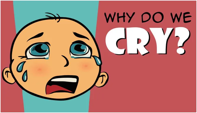 Why do tears come out of our eyes when we cry? - ABC Kids listen