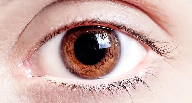 Everything you need to know about Dilated Pupils