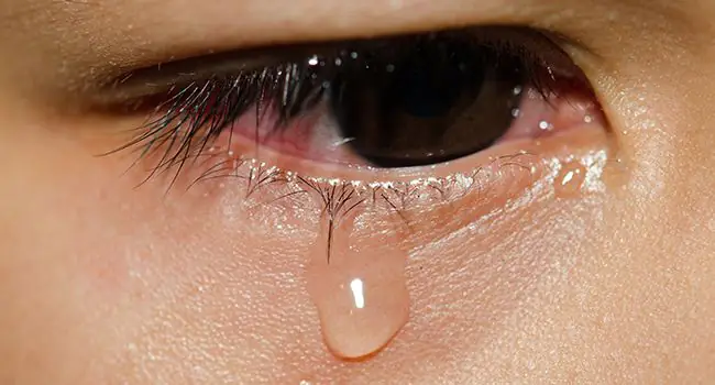 Know why tears are healthy for you