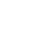 ocular-icon